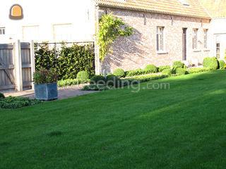 tuinaanleg Omgeving Antwerpen