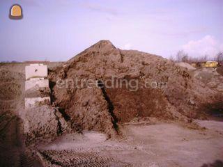 Bosgrond Omgeving Middelburg