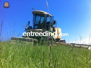 Krone Big M2 Omgeving Middenmeer