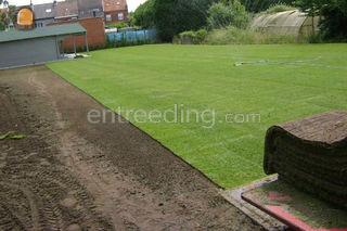 voorbereidende werken, ni... Omgeving Antwerpen