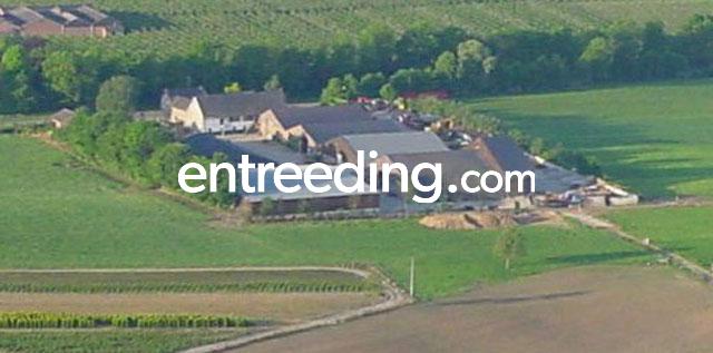 Cerfontaine B.V. uit Berg en Terblijt