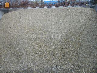 Gravelux Omgeving Dronten