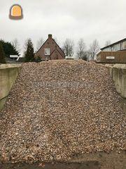 Schelpen Omgeving Haarlem