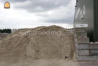 Zeezand Omgeving Haarlem