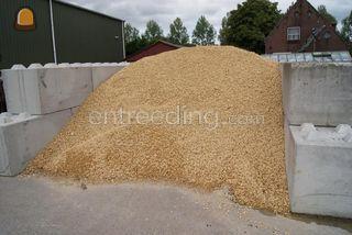 Ardenner geel 10/20 Omgeving Haarlem