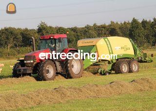 Case + grootpakpers Omgeving Oosterwolde