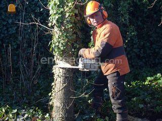 Man met motorzaag Omgeving Oosterwolde
