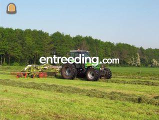 Deutz wiersen Omgeving Oosterwolde