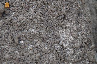 Bomengrond Omgeving De IJsselsteden