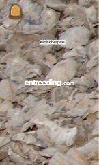 Kleischelpen Omgeving De IJsselsteden