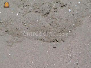 Ophoogzand Omgeving De IJsselsteden