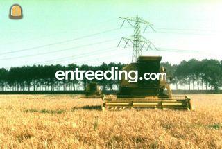 New Holland 8070 Omgeving Goes