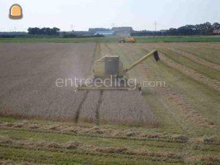 New Holland 8080 Omgeving Goes