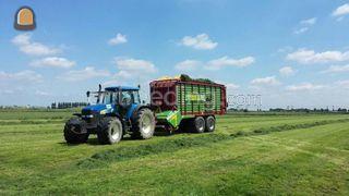 Stautmann Omgeving Maasdriel