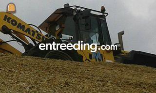 Komatsu WA 320-5 Omgeving Deurne