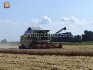 Claas Dominator 108 sl Omgeving Voorne-Putten