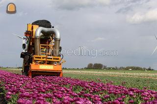 Potveer kopmachine 1,50 Omgeving Purmerend