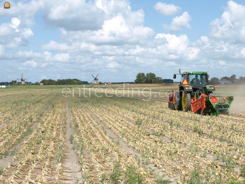 Holaras uienrooier/klapper