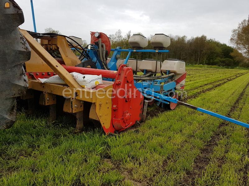 Strokenfrees/maïszaaien