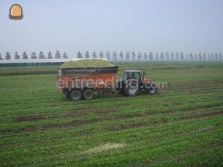 MF + vaia silagekeeper Omgeving De Ronde Venen