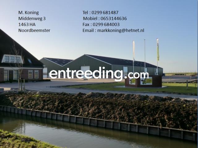 M. Koning uit Noordbeemster