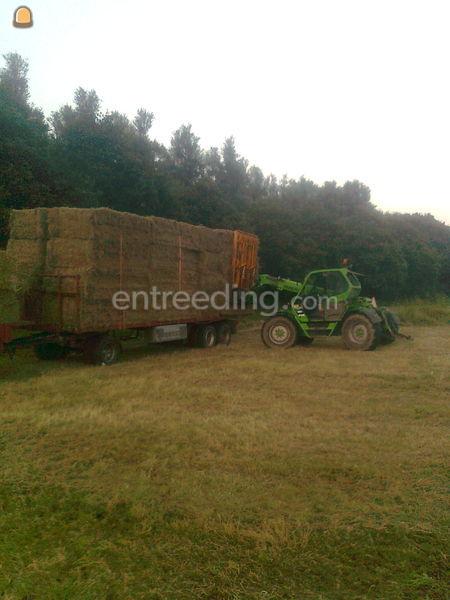 Merlo Multifarmer 30-6