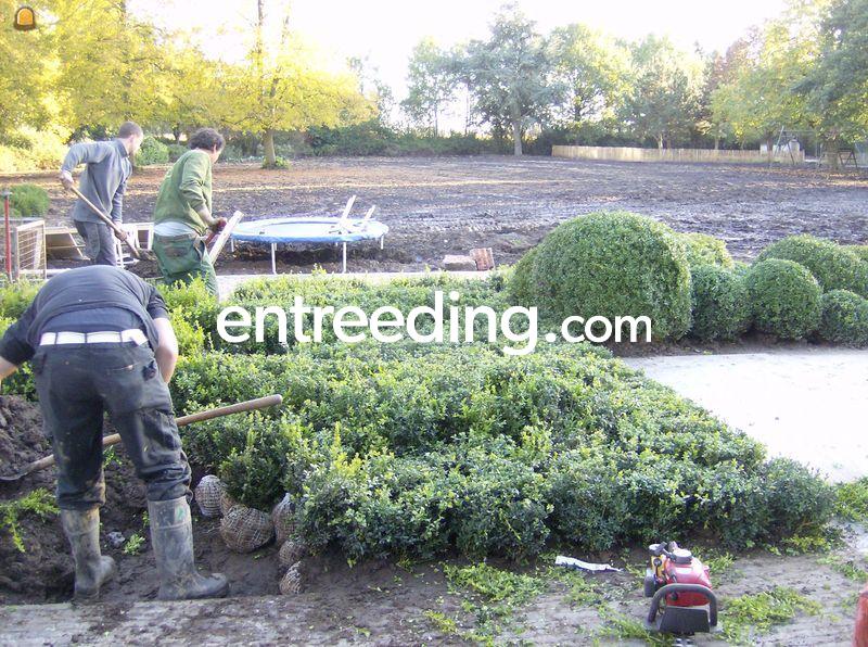 Groenaanleg, onderhoud en omgevingswerken tuinaanleg
