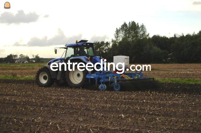 New Holland + Smaragd