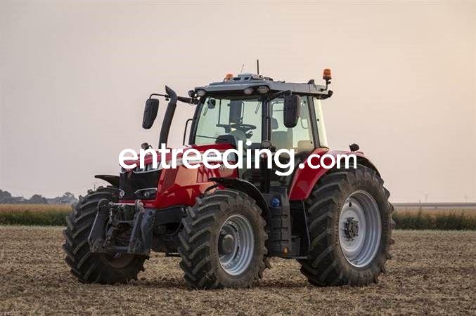 Massey Ferguson (Model 7719S)