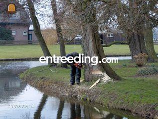 Hoveniers Omgeving Den Haag