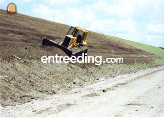 CAT D5H LGP Omgeving Alphen a/d Rijn