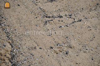 Vloerenzand Omgeving Utrecht