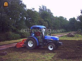 Frees 1.5 mtr. breed Omgeving Alphen a/d Rijn