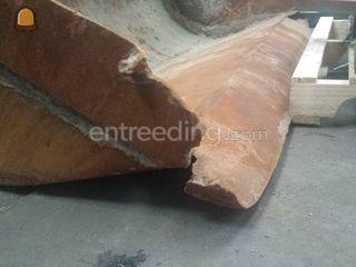 graafbakken Omgeving De Drechtsteden