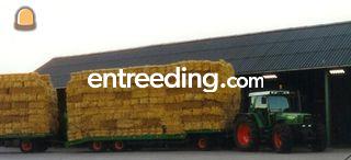 Fendt 514C + dieplader + ... Omgeving Amersfoort