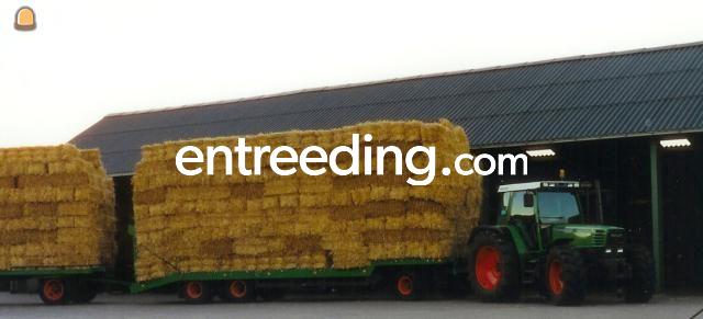 Fendt 514C + dieplader + platte wagen