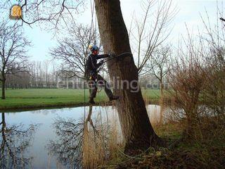 zaagploeg  Omgeving Voorne-Putten