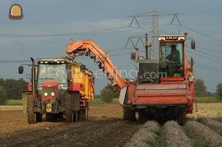 AMAC ZM2 Omgeving Voorne-Putten