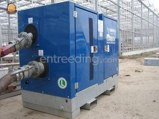 Betsy 100 Omgeving Westland