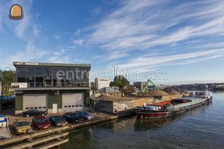 stelspecie Omgeving Amsterdam