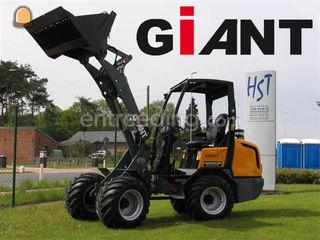 Giant knikladers - nieuw Omgeving Diest,Herk-de-Stad