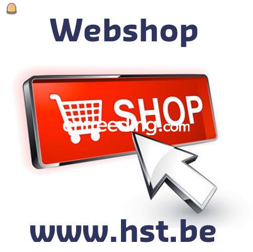 Webshop HST