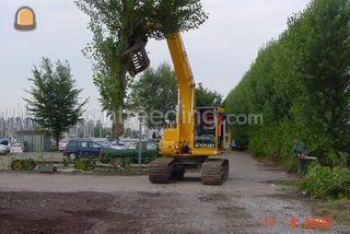 Bomen rooien Omgeving Roosendaal