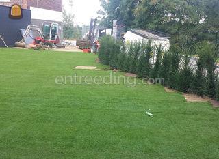 tuin, gazon, begrondingen... Omgeving Aalst