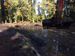 aanleggen van vijvers, gr... Omgeving Genk