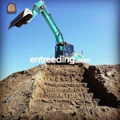 W. Moons Grondverzet B.V. uit Waddinxveen