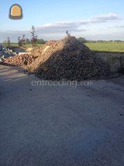 dikformaat  klinker keien Omgeving Maarssen