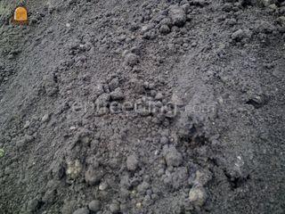 Zwarte Grond Omgeving Lisse