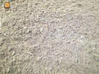 Zandgrond Omgeving Lisse