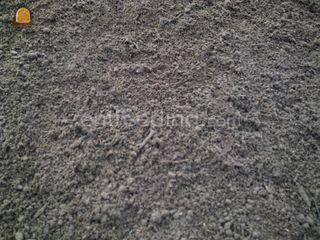 Teelaarde / Bomengrond Omgeving Lisse